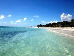 Bioluminescent Beach Puerto Rico Visques Puerto Rico This Is Orchid Beach They Also Have A Bio Bay Where The Water Glows Due To Bioluminescent Phytoplankton Bioluminescent Bay Puerto Rico Adventurous Things To Do Vacation Wishes