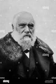 About max 12 Black and White Stock Photos & Images