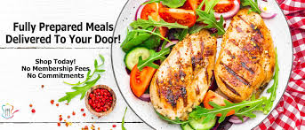 Low Sodium Meals For One Sampler 2 Seafoodpasta Meals Healthy Recipes Foods Delivered