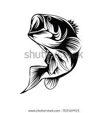 The term both encompasses freshwater to begin learning, start by sketching out its body, tailfin, and fins. Gt Mammal Aquatic Jumping Fish Fish Jumping Out Of Water Png Stunning Free Transparent Png Clipart Images Free Download