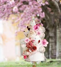 Image result for tbn:9BRgTniNPiIJ::www.skateranchofraleigh.com/Welcome/Birthday%2520Party%2520Packages/birthday-cake2.png