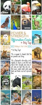 Spirit Animal Power And Strength Affirmation Cards Perfect For Brag Tags And As School Counseling Solution Counseling Animal Lessons Solution Focused Therapy