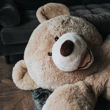 Choose your favorite picture 3. Bear Ipad Pro 12 9 Retina For Parallax Wallpapers Hd Desktop Backgrounds 3415x3415 Images And Pictures