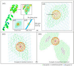 When you buy through links on our site, we may earn an affiliate commission. Remote Sensing Free Full Text Extraction Of Leaf Biophysical Attributes Based On A Computer Graphic Based Algorithm Using Terrestrial Laser Scanning Data Html