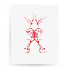 Circle Of Willis Medicine Medical Art Medical Print Etsy In 2020 Medical Art Circle Of Willis Art