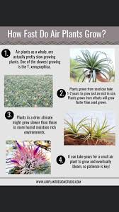 After planting seeds or starts, water the soil. Brianna S Garden Goa Posts Facebook
