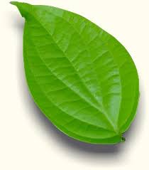 Jumpa sehelai sirih bertemu urat muzik itulah satu petanda jiwa kita sama dan serupa nak tanya siapa lagi kalau bukan hati mu sendiri. Sirih