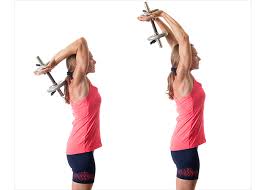 They're good for building up any muscular imbalances and can even be a bit better on the joints. The Best Chest Tricep Workout Routine Made For Women By Women