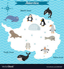 Map Of Antarctica Continent With Different Animals Vector Image On Vectorstock Antarctic Animals Antarctica Cartoon Map