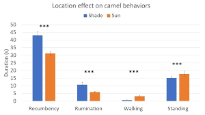 Let's say that there is a plane crash that takes place in a remote part of the world. Animals Free Full Text Do Camels Camelus Dromedarius Need Shaded Areas A Case Study Of The Camel Market In Doha Html