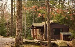 The cabins are available for rent . Black Bear Cabins Cooksburg Pa Allegheny National Forest Visitors Bureau