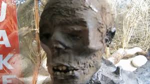 Maybe you would like to learn more about one of these? Sneaky Filming Jake The Alligator Man Call Of Jesus Youtube