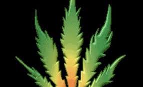 Download now rasta images stock photos vectors shutterstock. 39 Free Weed Wallpaper Download On Wallpapersafari