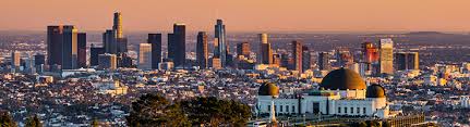 Very professional staff that showed up on time and performed extermination of. 11 Best Pest Control Companies In Los Angeles Ca Consumeraffairs