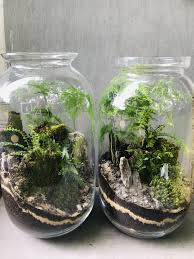 Lasy W Sloiku Beautiful Terrariums Miniature Garden Terrarium Plants