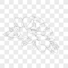 Check out inspiring examples of flowers artwork on deviantart, and get inspired by our community of talented artists. 190000 Flowers Line Drawing Hd Photos Free Download Lovepik Com