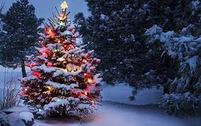 Robert (se sentir) malheureux, mais il (ne pas oser) lui parler. Mairie Belmont De La Loire Passez De Belles Fetes De Noel Facebook