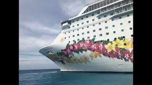 Maybe you would like to learn more about one of these? Salty Dog Cruise 2018 Life On A Punk Rock Cruise Youtube