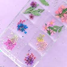 The golden wattle is australia's floral emblem, and is widespread around canberra, in southern new south wales, in the adelaide hills and victoria. Small Dried Flower And Leaf Floral Resin Inclusions Wild Carrot Fl Miniaturesweet Kawaii Resin Crafts Decoden Cabochons Supplies Jewelry Making