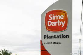 Sime darby plantation is involved in oil palm cultivation and downstream activities, agribusiness & food and research & development (r&d). Sime Darby Plantation Reducing Dependency On Foreign Labour A Tall Order The Edge Markets