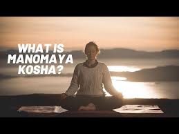 Image result for Manostachya