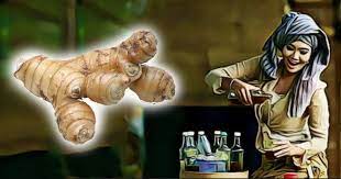 Tidak Hanya Menambah Nafsu Makan Kencur Juga Kaya Akan Manfaat Lain Tanamanobat Tanaman Obat Sistem Saraf Herbal