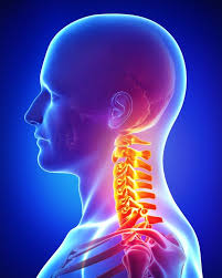 Image result for Neck Pain