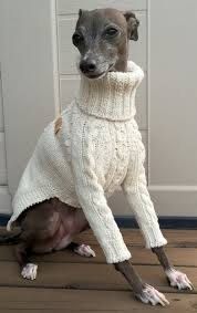 Italian Greyhound Apparel Handmade Knitwear Vanilla Dla