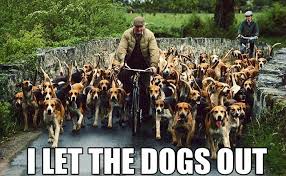 Who let the dogs out? - Imgur