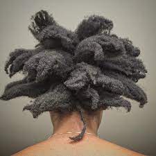 Ms Jones On Instagram My Tail Makes 23 Total Locs Good Thing I M From Chicago Cues Jumpman With All The Ki Natural Hair Styles Hair Freeform Dreads
