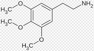 Jika data ini tidak diketahui dalam soal, anda bisa menghitungnya dengan mudah berdasarkan data yang. Rumus Struktural Mescaline Formula Kimia Peyote Rumus Molekul Lain Lain Sudut Putih Teks Png Pngwing