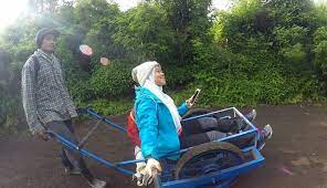 We did not find results for: Taksi Di Gunung Ijen Pasang Tarif Hingga Jutaan Dengan Tenaga Manusia