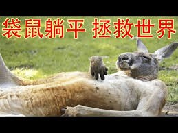 网络用语层出不断，最近又新出了一个躺平的词，这个词看起来其实和字面意思是差不多的，那么下面小编就来仔细的讲解一下这个词的意思及含义。 躺平的意思、含义介绍意思： 躺平的字面意思就是将自己的身体平直的躺着。 含义： 更深层的含义就是放平心态去接受。 Dgzwhz2ou9ctkm