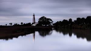 Spoilers ahead for annihilation the film, and annihilation the book. Author Jeff Vandermeer From Books To Big Screen Flamingo Magazine