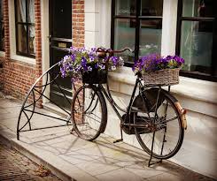 Typisch Fur Holland Ich Liebe Es Bikes Myfoto Picoftheday Holland Netherlands Sunnydays Summerfeeling Citytour Nordsee Netherlands Nederland