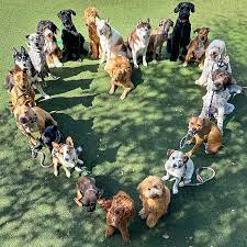 WE W❤️❤️F YOU! May you get extra love today! 🐶 #happyvalentinesday #IWoofYou #BeMyWoof #LoveDay #dogs #happydogs #dogpack #doglovers #puppylove #pups #puppies #miamidogs #doggos #dogtraining #Doodle #frenchie #Corgi #pittie #husky #giantschnauzer ...