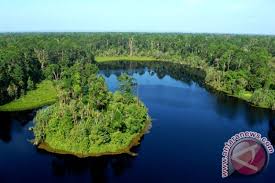 We did not find results for: 200 Peneliti Asia Tenggara Bahas Flora Fauna Tropis Antara News