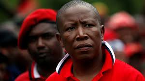 Julius sello malema (born 3 march 1981) is the leader of the economic freedom fighters, a south african political party, which he founded in july 2013. South Africa S Julius Malema Challenges Apartheid Era Law Bbc News