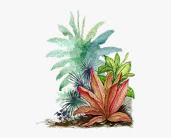 Watercolor Leaves Tropical Tropical Leaf Png Transparent Png Download Kindpng Download transparent tropical leaves png for free on pngkey.com. tropical leaf png transparent png