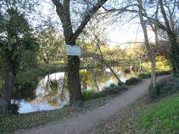 Did you find any incorrect or incomplete information? Lac Des Primeveres Neuilly Sur Marne 2021 All You Need To Know Before You Go With Photos Tripadvisor