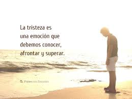 El sentirse triste, desganado o decaído por un tiempo prolongado es señal de alarma. La Tristeza Es Una Emocion Que Frases Con Emocion