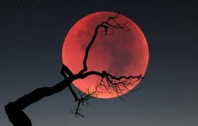 Angk ini menandakan ketidakberuntungan dalam membina rumah tangga. Mitos Dan Solusi Weton Jodoh Ketemu 25 Dalam Primbon Jawa Tibo Selawe Atau Pati Ringtimes Banyuwangi