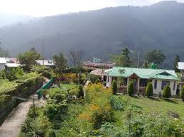 Pets are allowed if you inform about arriving with a pet in advance. Vamoose Jharna Tabakoshi Mirik Updated 2021 Prices