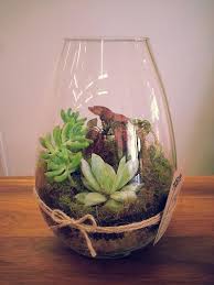 More Gorgeous Terrariums O Grady S Florist Warrnambool Loving These For The Sustainable Living Festival Warrnambool Sustainable Living Succulents House Plants