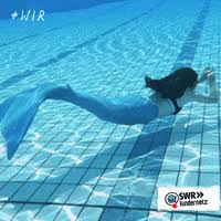 But great britain's breaststroke advantage still looms. Schwimmen Gifs Get The Best Gif On Giphy