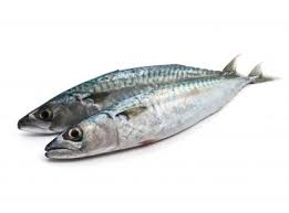 Sardine Poissons Et Fruits De Mer Sardines Maquereau Elevage De Poissons
