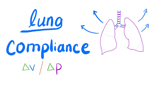 Measurement of dynamic lung compliance at increasing respiratory frequencies allows estimation of the frequency. Lung Compliance Surface Tension Emphysema Respiratory Physiology Youtube