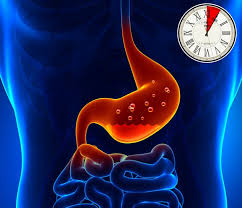 It takes about 36 hours for food to move through the entire colon. How Long Different Foods Take To Digest And Why It S Important To Know