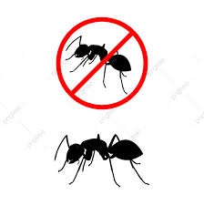 Meskipun kekocakan foto itu nampak biasa, tetapi gambar tersebut dapat mengubah mood kalian, dari yang awalnya murung dapat menjadi senang ketika melihatnya. 87 Gambar Kartun Binatang Semut Hd Terbaru Gambar Hewan