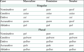 Interrogative Adjectives Latin Ii